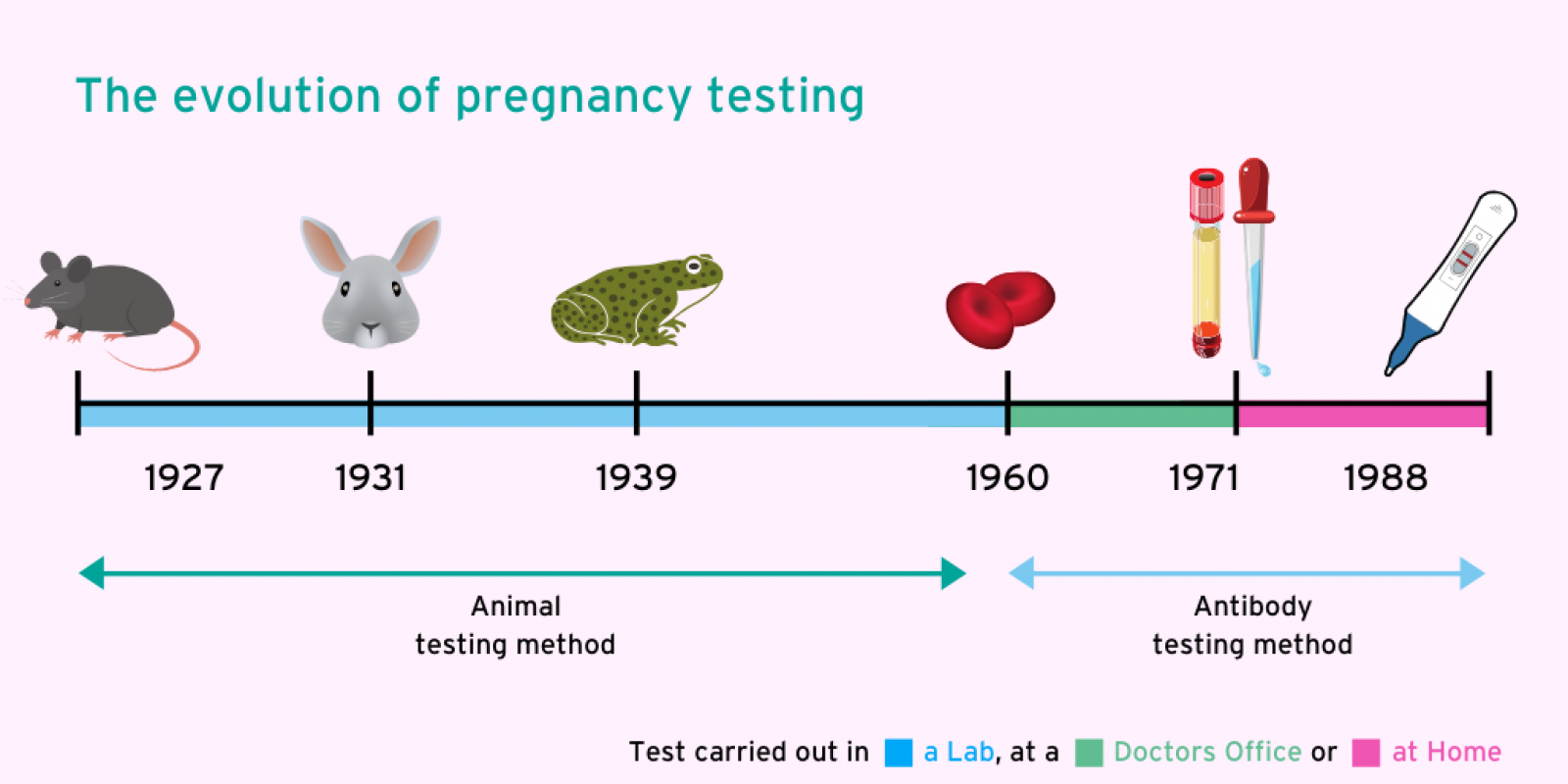Evolution of pregnancy testing