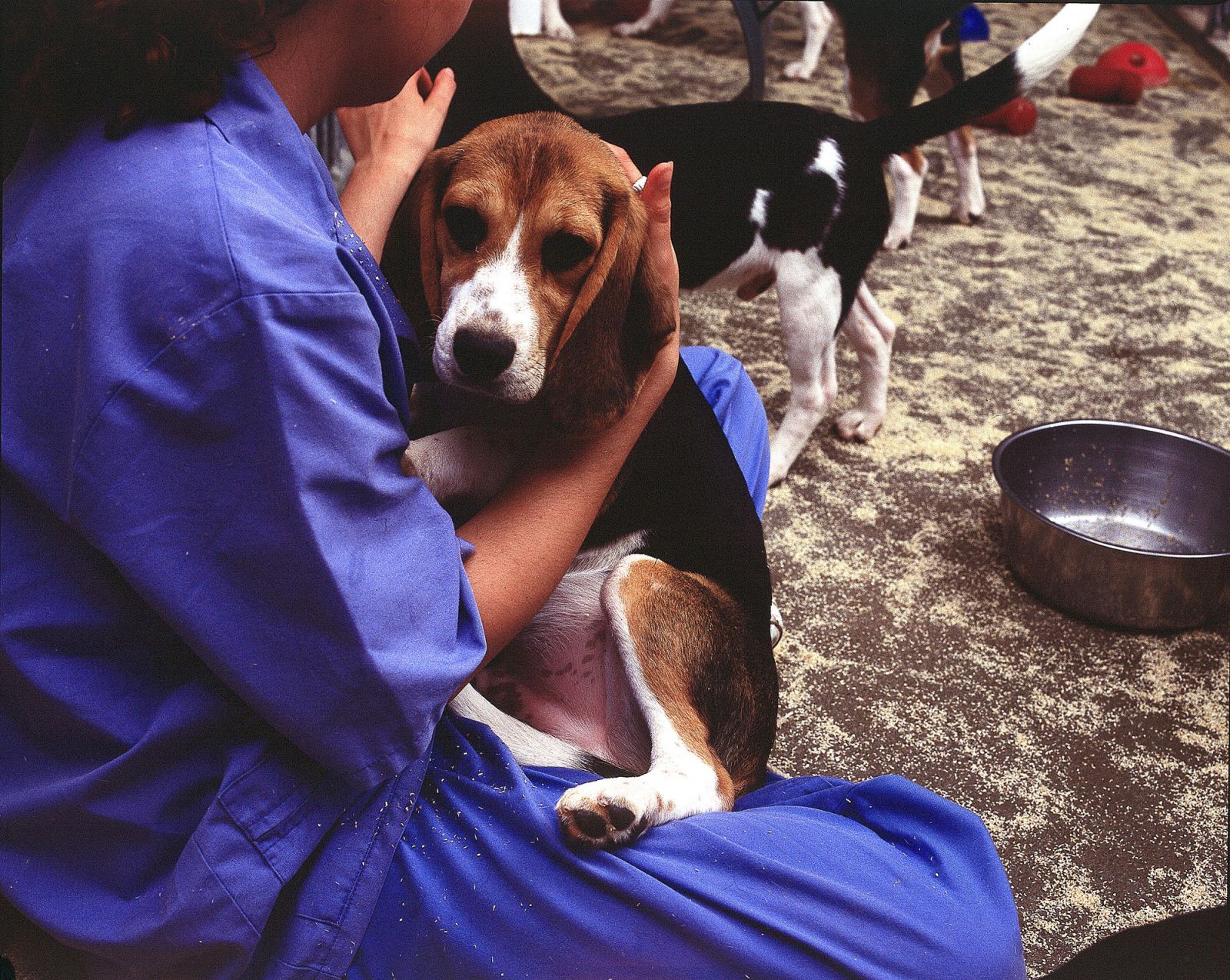 Technician with dog