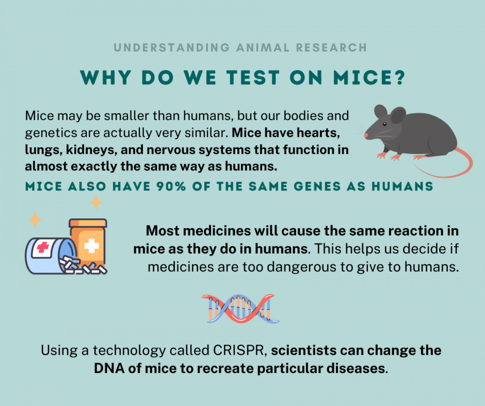 Why do we test on mice