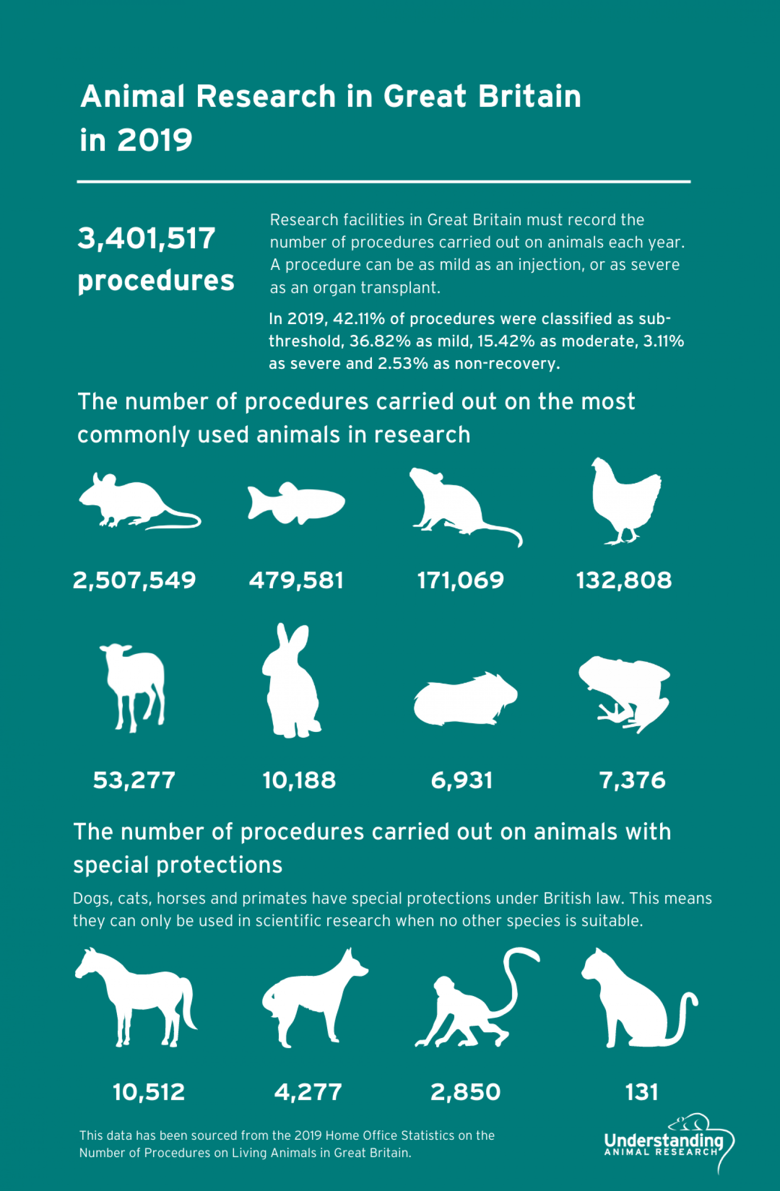 Animal research statistics for Great Britain, 2019