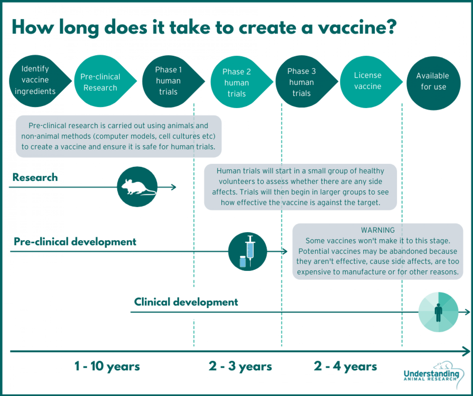 How long does it take to create a vaccine