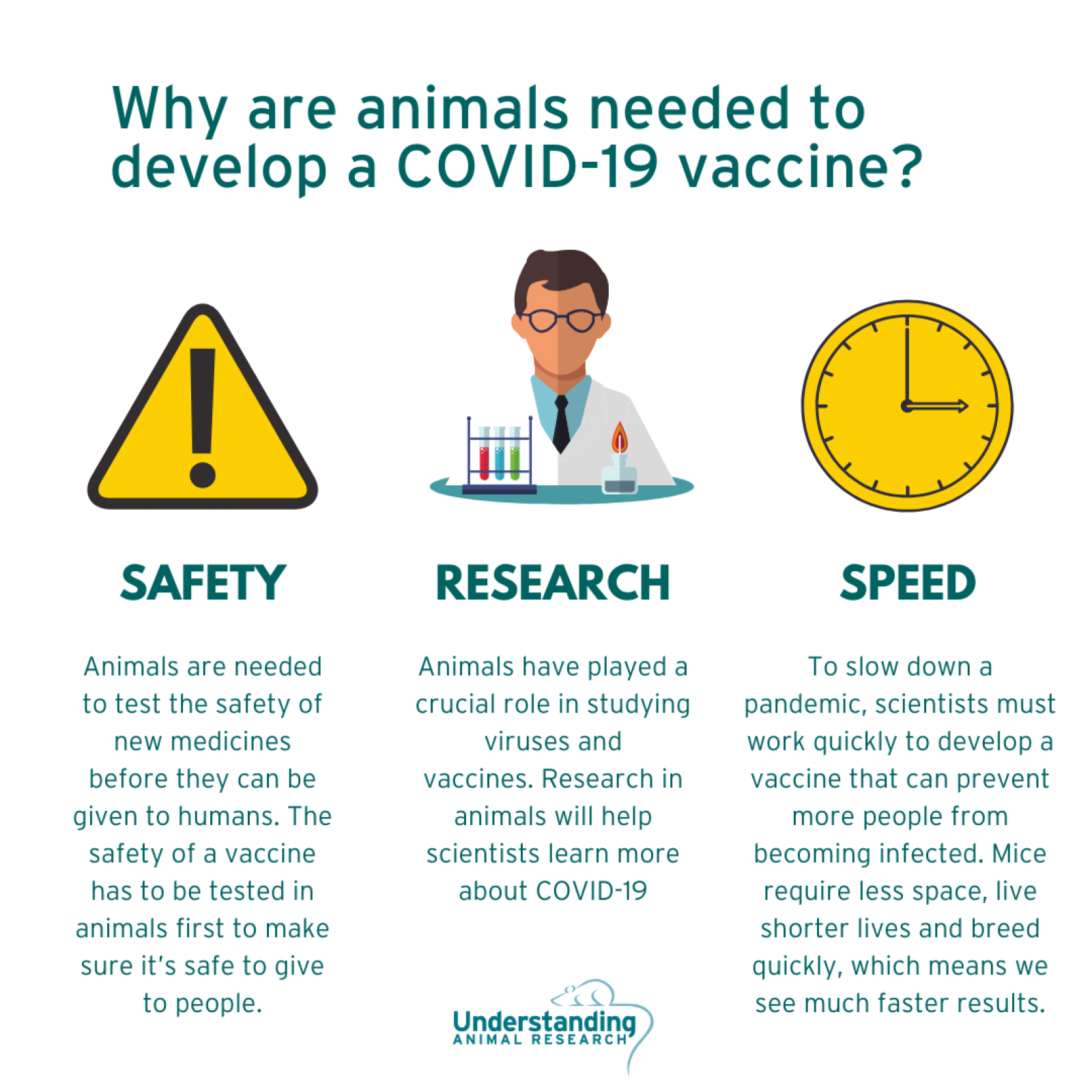 Why are animals needed to develop COVID-19 vaccines?