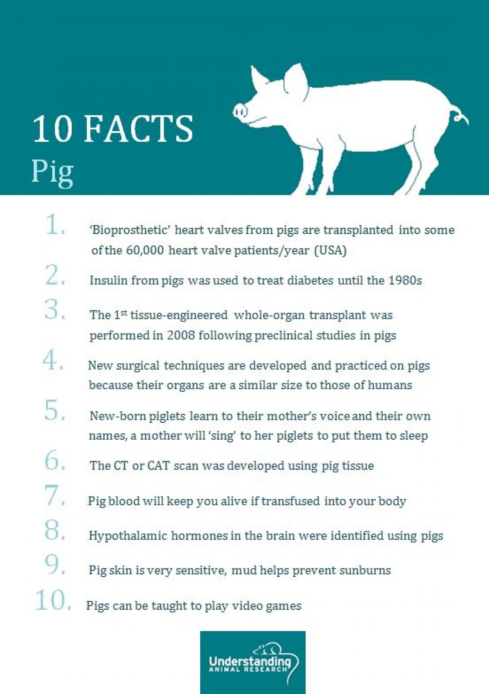 Pig ten facts