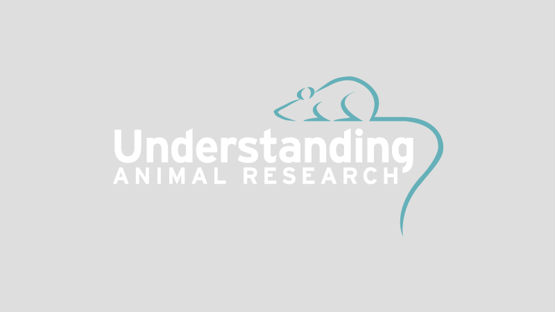 Australian animal research regulation